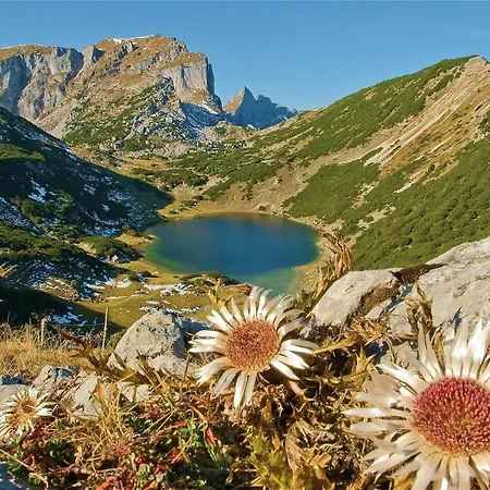 Innertal * Inneralpbach