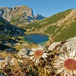 Innertal * Inneralpbach