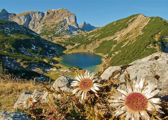 Innertal * Inneralpbach